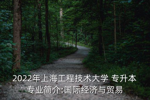 2022年上海工程技術(shù)大學 專升本專業(yè)簡介:國際經(jīng)濟與貿(mào)易