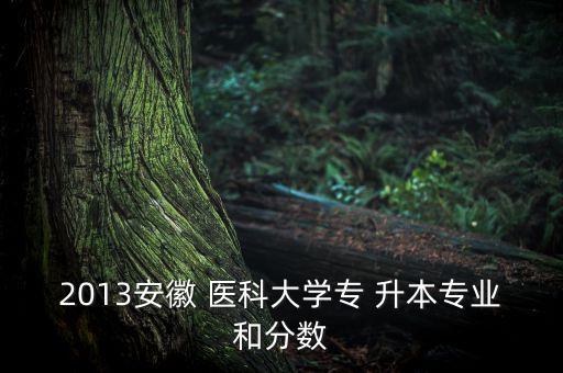 安徽醫(yī)科大專升本錄取分數(shù)線,遵義醫(yī)科大專升本2021護理專業(yè)錄取分數(shù)線