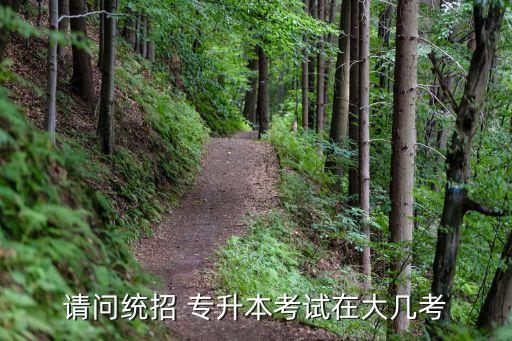 請(qǐng)問(wèn)統(tǒng)招 專升本考試在大幾考
