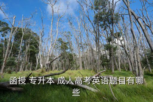函授 專升本 成人高考英語題目有哪些