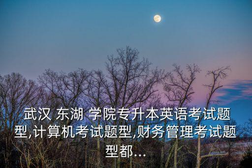  武漢 東湖 學院專升本英語考試題型,計算機考試題型,財務(wù)管理考試題型都...
