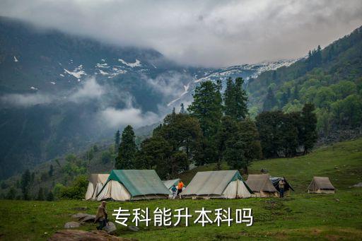 ?？飘厴I(yè)可以專升本么
