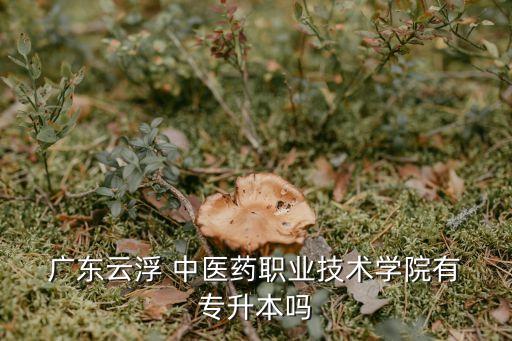  廣東云浮 中醫(yī)藥職業(yè)技術(shù)學院有 專升本嗎