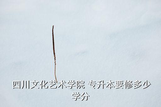  四川文化藝術(shù)學(xué)院 專升本要修多少學(xué)分