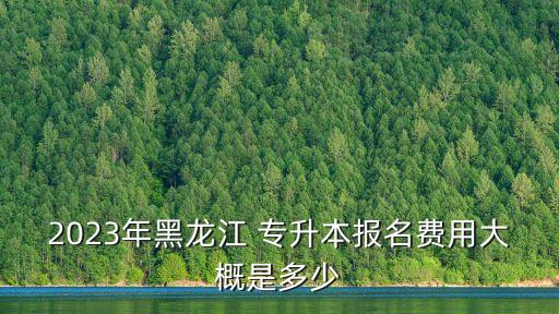 2023年黑龍江 專升本報名費(fèi)用大概是多少
