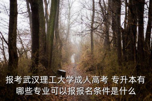 報(bào)考武漢理工大學(xué)成人高考 專升本有哪些專業(yè)可以報(bào)報(bào)名條件是什么