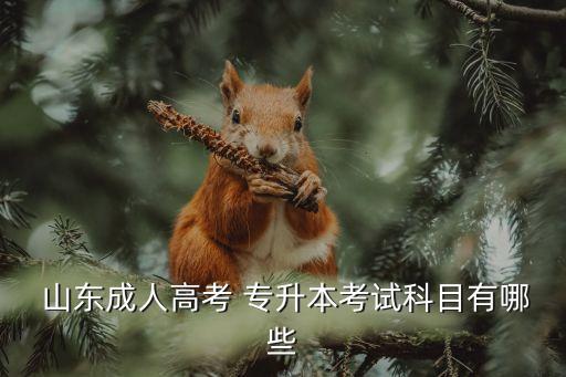  山東成人高考 專(zhuān)升本考試科目有哪些