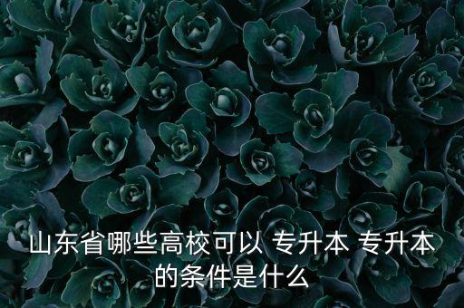 山東省哪些高?？梢?專升本 專升本的條件是什么