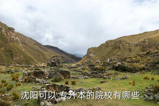  沈陽(yáng)可以 專(zhuān)升本的院校有哪些