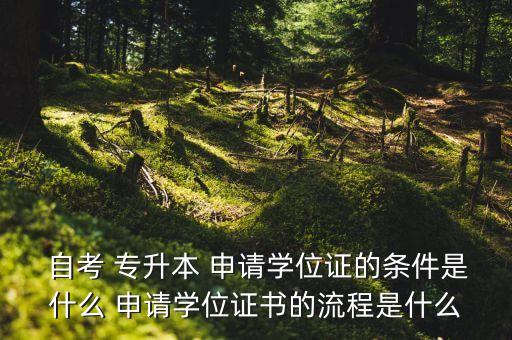  自考 專升本 申請學位證的條件是什么 申請學位證書的流程是什么