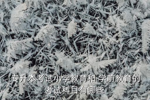 學(xué)前專(zhuān)業(yè) 專(zhuān)升本資料