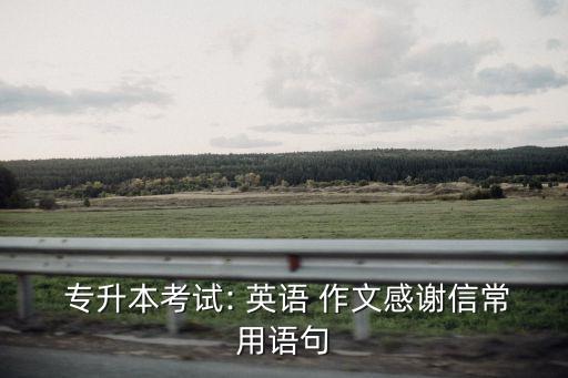  專升本考試: 英語(yǔ) 作文感謝信常用語(yǔ)句