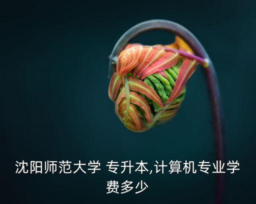 沈陽(yáng)師范大學(xué) 專(zhuān)升本,計(jì)算機(jī)專(zhuān)業(yè)學(xué)費(fèi)多少