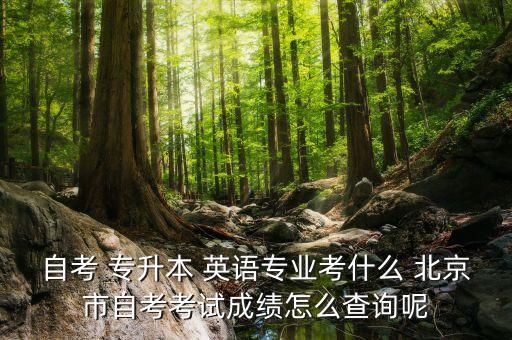 自考 專升本 英語專業(yè)考什么 北京市自考考試成績(jī)?cè)趺床樵兡? class=
