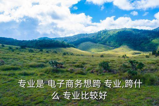 電子商務專升本可以轉哪些專業(yè)