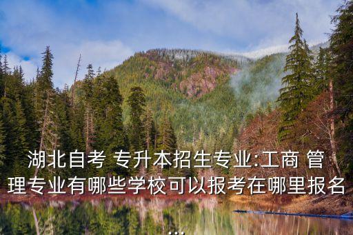 湖北自考 專升本招生專業(yè):工商 管理專業(yè)有哪些學(xué)?？梢詧?bào)考在哪里報(bào)名...