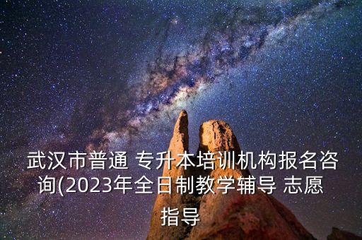  武漢市普通 專升本培訓(xùn)機(jī)構(gòu)報(bào)名咨詢(2023年全日制教學(xué)輔導(dǎo) 志愿指導(dǎo)