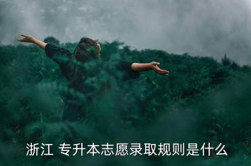  浙江 專(zhuān)升本志愿錄取規(guī)則是什么