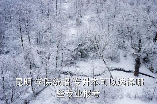  昆明 學院統(tǒng)招 專升本可以選擇哪些專業(yè)報考