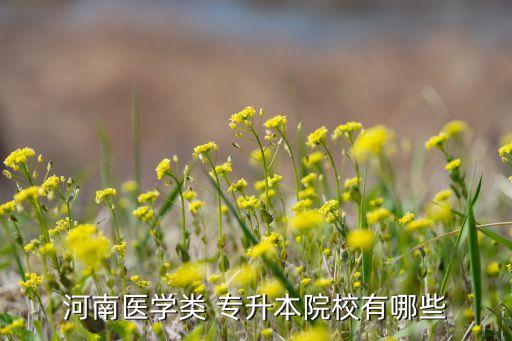 河南醫(yī)學類 專升本院校有哪些
