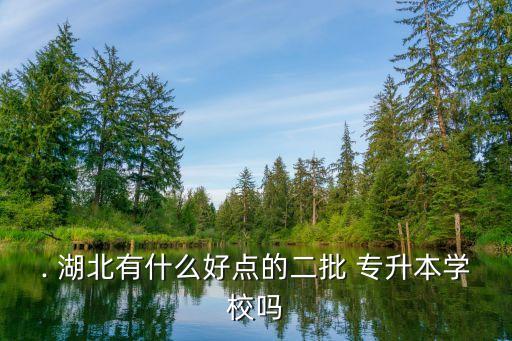 . 湖北有什么好點的二批 專升本學校嗎