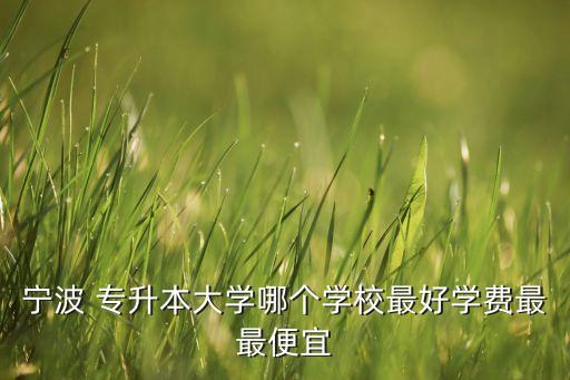 寧波 專升本大學(xué)哪個(gè)學(xué)校最好學(xué)費(fèi)最最便宜