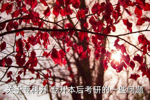 關于?？粕?專升本后考研的一些問題