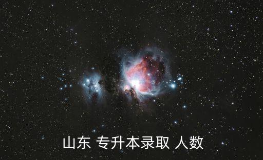  山東 專升本錄取 人數(shù)