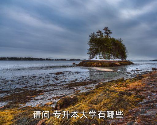 請問 專升本大學(xué)有哪些