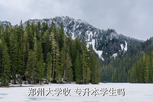 鄭州大學收 專升本學生嗎