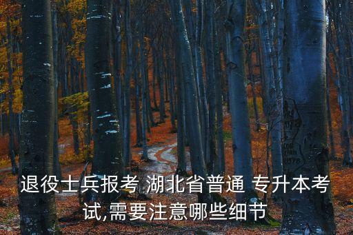 退役士兵報(bào)考 湖北省普通 專(zhuān)升本考試,需要注意哪些細(xì)節(jié)