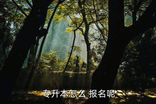 專升本是去學(xué)校報名嗎