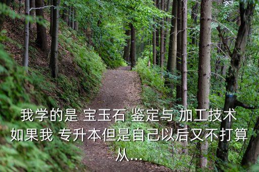 我學的是 寶玉石 鑒定與 加工技術如果我 專升本但是自己以后又不打算從...