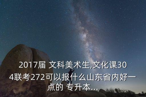 2017屆 文科美術生,文化課304聯(lián)考272可以報什么山東省內(nèi)好一點的 專升本...