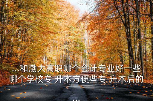 ...和渤大高職哪個會計專業(yè)好一些哪個學(xué)校專 升本方便些專 升本后的...