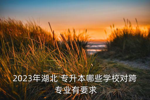 2023年湖北 專升本哪些學(xué)校對(duì)跨 專業(yè)有要求