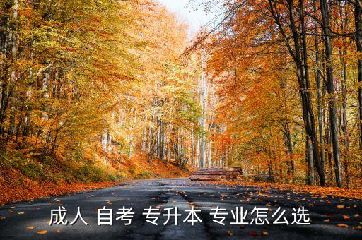 成人 自考 專升本 專業(yè)怎么選