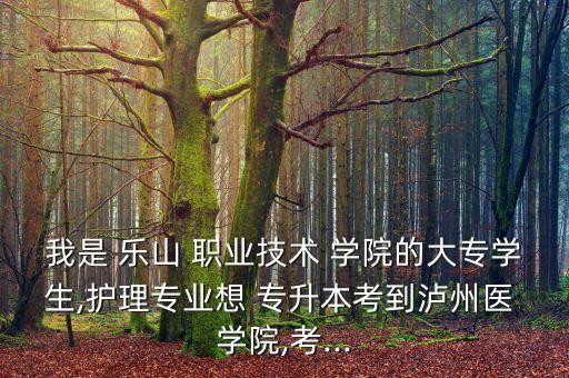 我是 樂(lè)山 職業(yè)技術(shù) 學(xué)院的大專學(xué)生,護(hù)理專業(yè)想 專升本考到瀘州醫(yī) 學(xué)院,考...