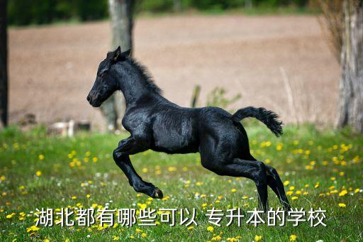 湖北都有哪些可以 專升本的學校