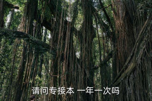 請(qǐng)問專接本 一年一次嗎