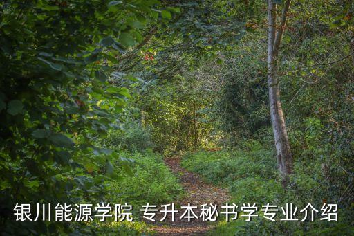 寧夏專升本計算機題庫,網(wǎng)絡教育專升本計算機統(tǒng)考題庫