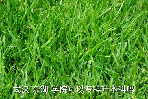 武漢 東湖 學(xué)院可以?？粕究茊? class=