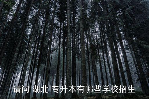 請(qǐng)問(wèn) 湖北 專升本有哪些學(xué)校招生