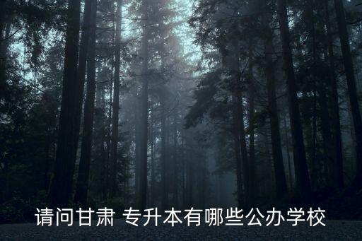 請問甘肅 專升本有哪些公辦學(xué)校