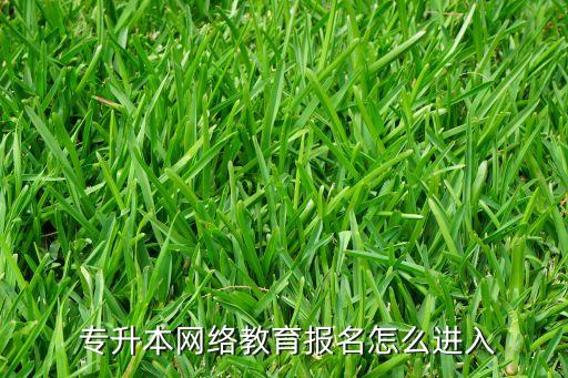  專升本網(wǎng)絡(luò)教育報(bào)名怎么進(jìn)入
