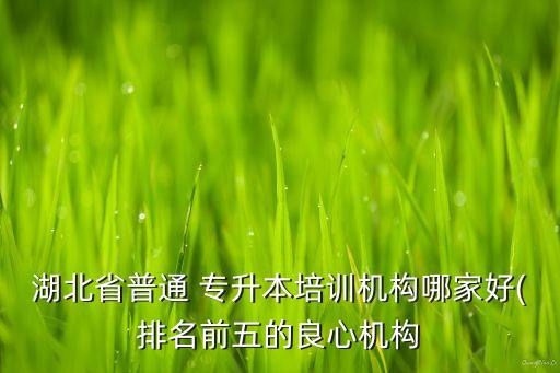盤錦專升本培訓班,盤錦職業(yè)技術學院可以專升本嗎