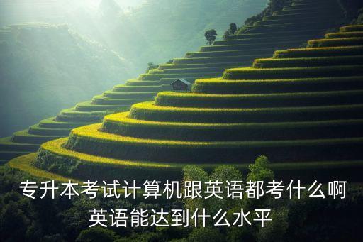  專升本考試計算機跟英語都考什么啊英語能達到什么水平