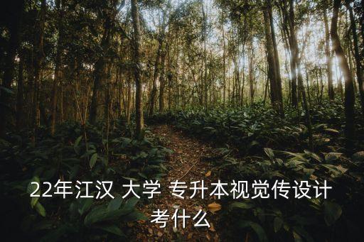 22年江漢 大學(xué) 專升本視覺傳設(shè)計(jì)考什么