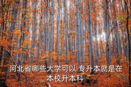  河北省哪些大學(xué)可以 專升本就是在本校升本科