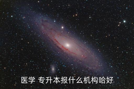 醫(yī)學(xué) 專升本報(bào)什么機(jī)構(gòu)哈好